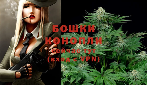 ECSTASY Михайловка