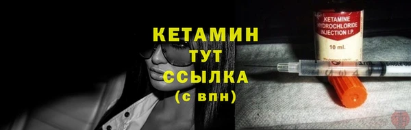 дживик Надым