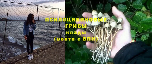 дживик Надым
