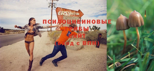 дживик Надым