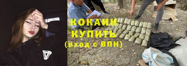 дживик Надым