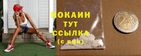дживик Надым
